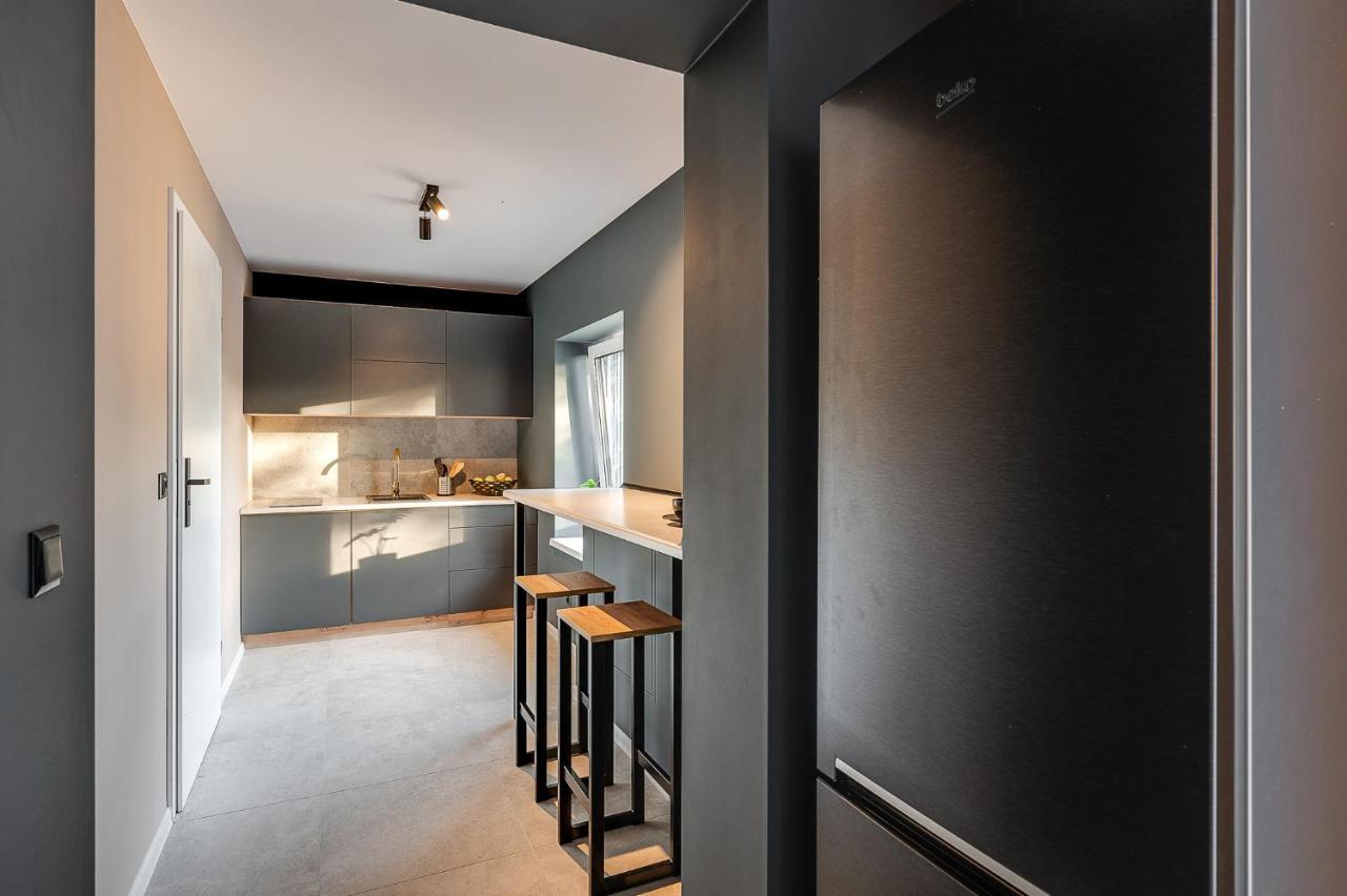 Loft House Apartment Studio Z Ogrodkiem 3 Rybnik  Exterior photo